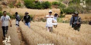 杨幂、欧豪领衔主演的电视剧《生万物》杀青